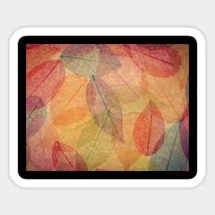 Autumn leaves Sticker